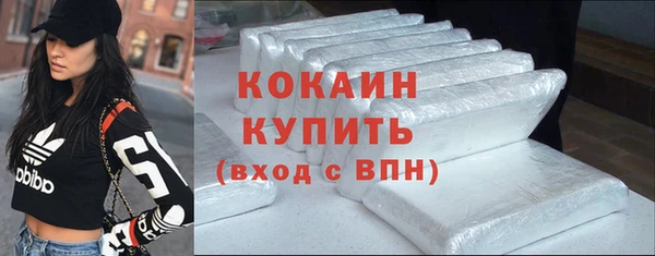 сатива Аркадак