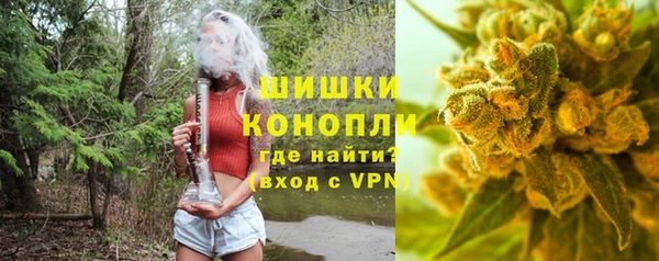 сатива Аркадак