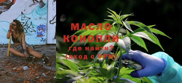 сатива Аркадак