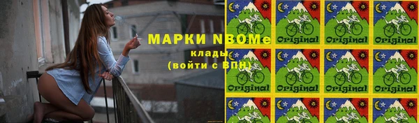сатива Аркадак