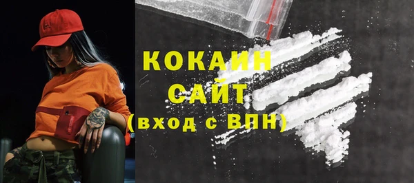 сатива Аркадак
