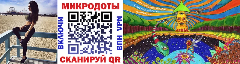 Псилоцибиновые грибы Psilocybe как найти наркотики Северобайкальск